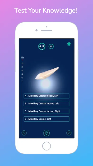 i-DENTify: Dental Anatomy स्क्रीनशॉट