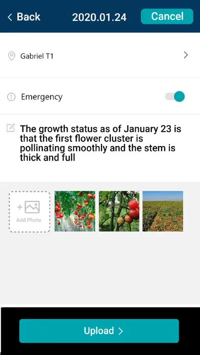 Tangkapan layar CropScope Camera