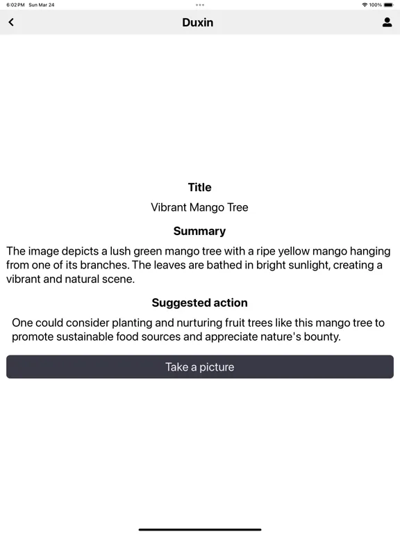 Duxin: Translate & Summarize iPad  Screenshots