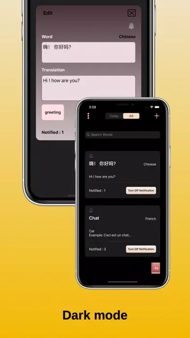 Dictionaring应用截图