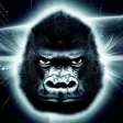 Sapiens The Ape