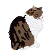 Wai Wai Cats Wai Wai Cats