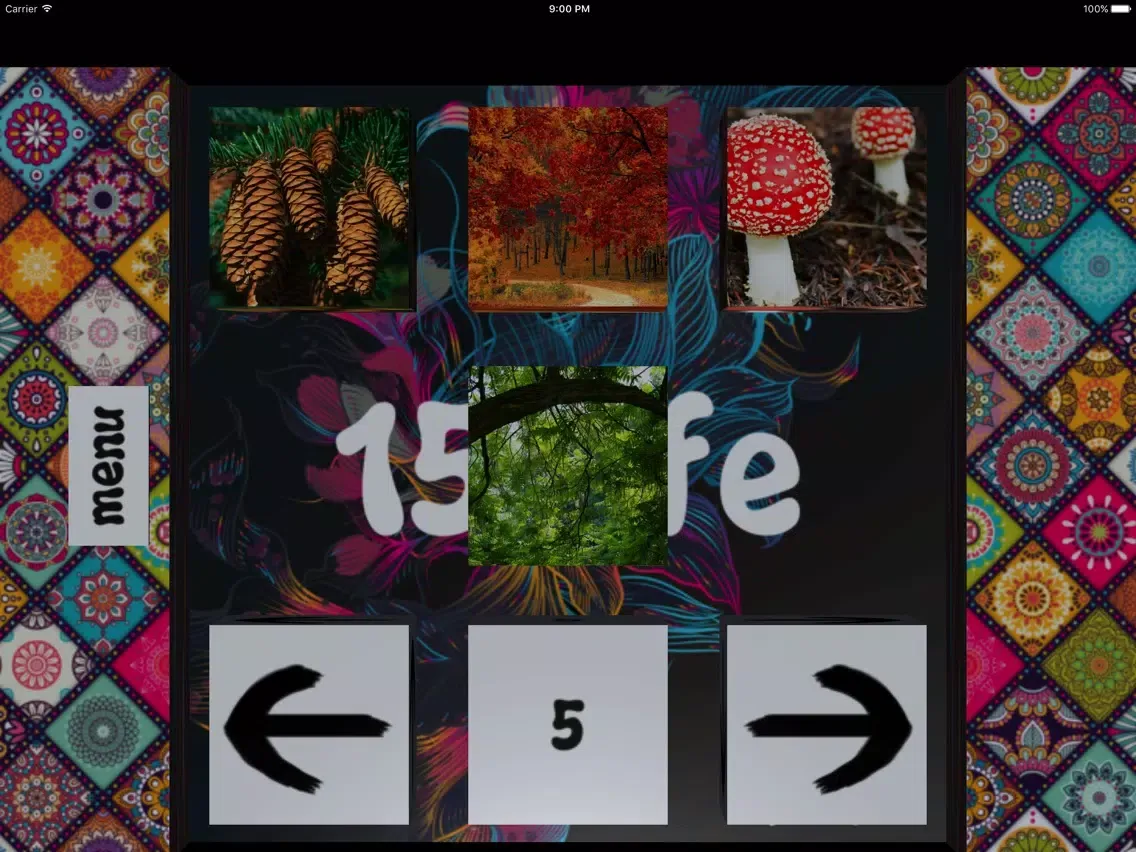 15 Life iPad 应用截图