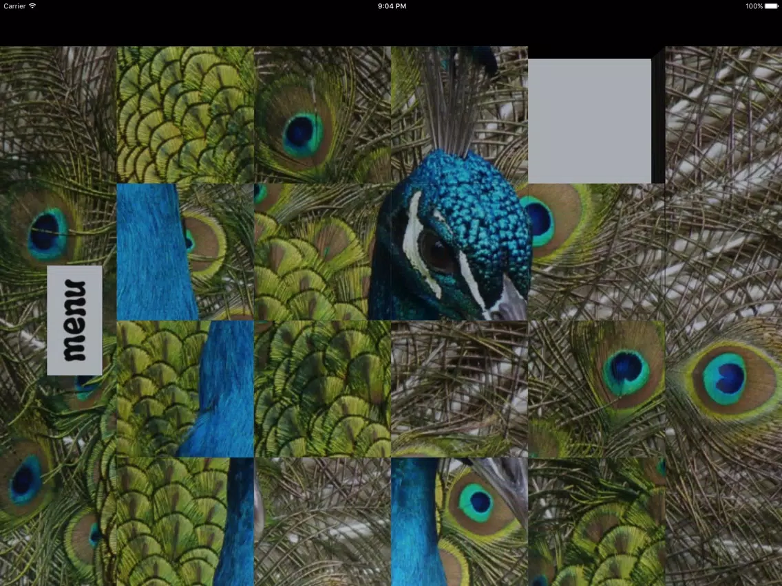 15 Life iPad  Screenshots
