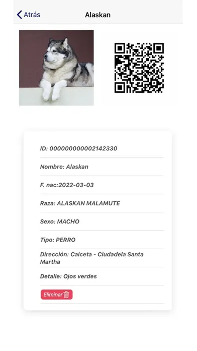 Mascotas Nel Macías应用截图