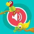 Cute Animals - Learn Animal Sounds, Noises & Names