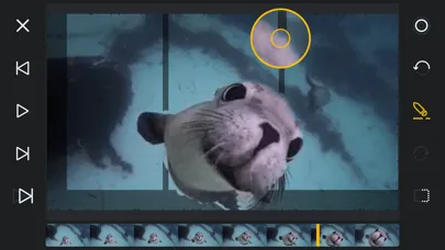 split3Depth (3D effect video)应用截图