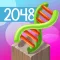 Evolution 2048 Puzzle Deluxe