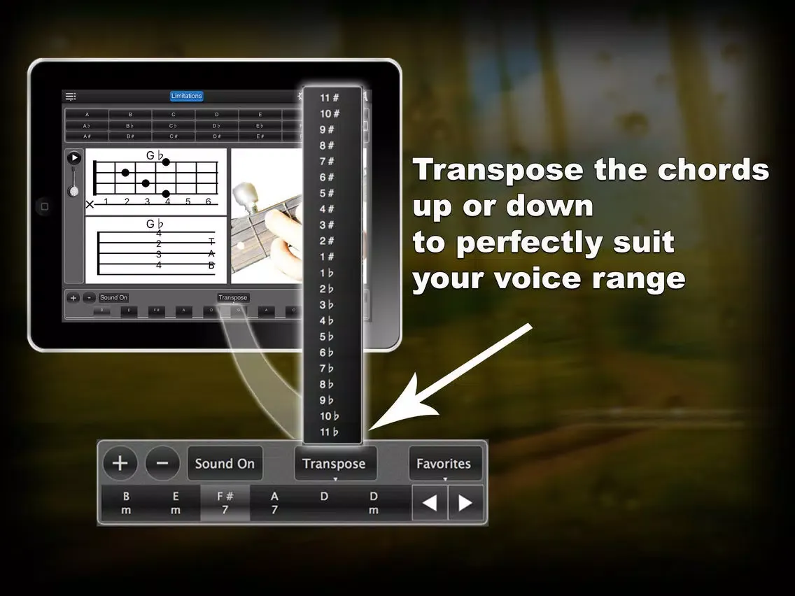 Capturas de tela do Banjo Chords Lite iPad 