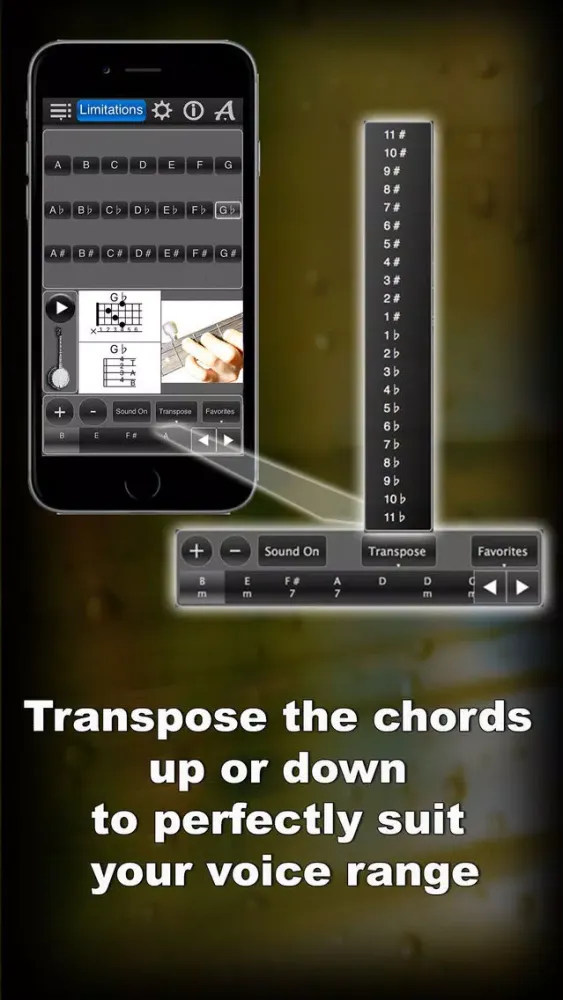Capturas de tela do Banjo Chords Lite