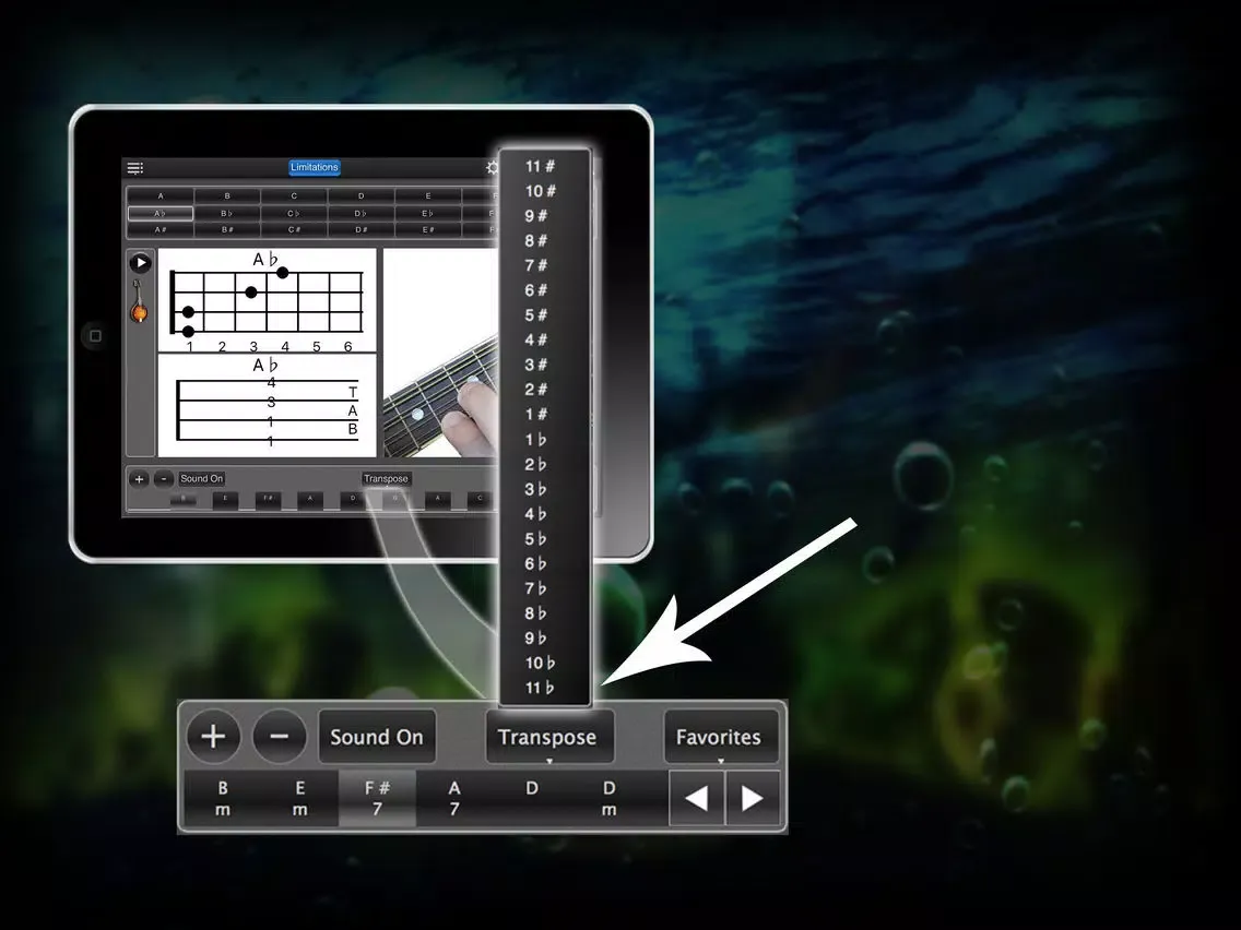 تصاویر Mandolin Chords Lite iPad 