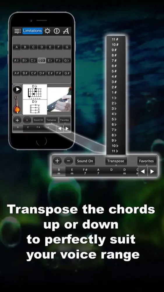 تصاویر Mandolin Chords Lite