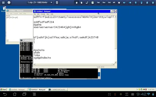 Screenshot di NeoRouter Remote Access
