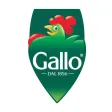 Guida Gallo Guida Gallo