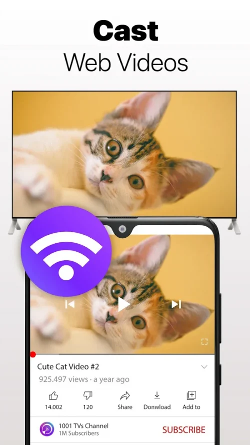 Screen Mirroring - 1001 TVs-screenshot-5