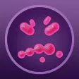 Superbugs: The game Superbugs: The game