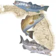 Florida Fishing Regulations
