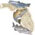 Florida Fishing Regulations