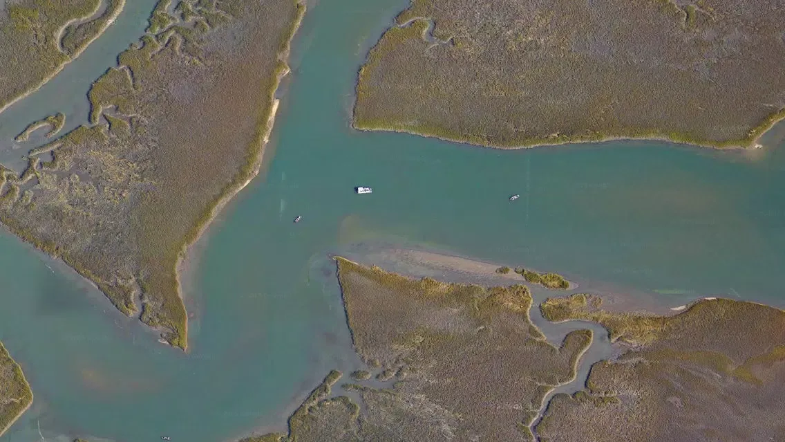Capturas de tela do South Carolina Tide Chart