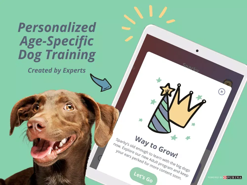 تصاویر My Pup - Puppy & Dog Training iPad 