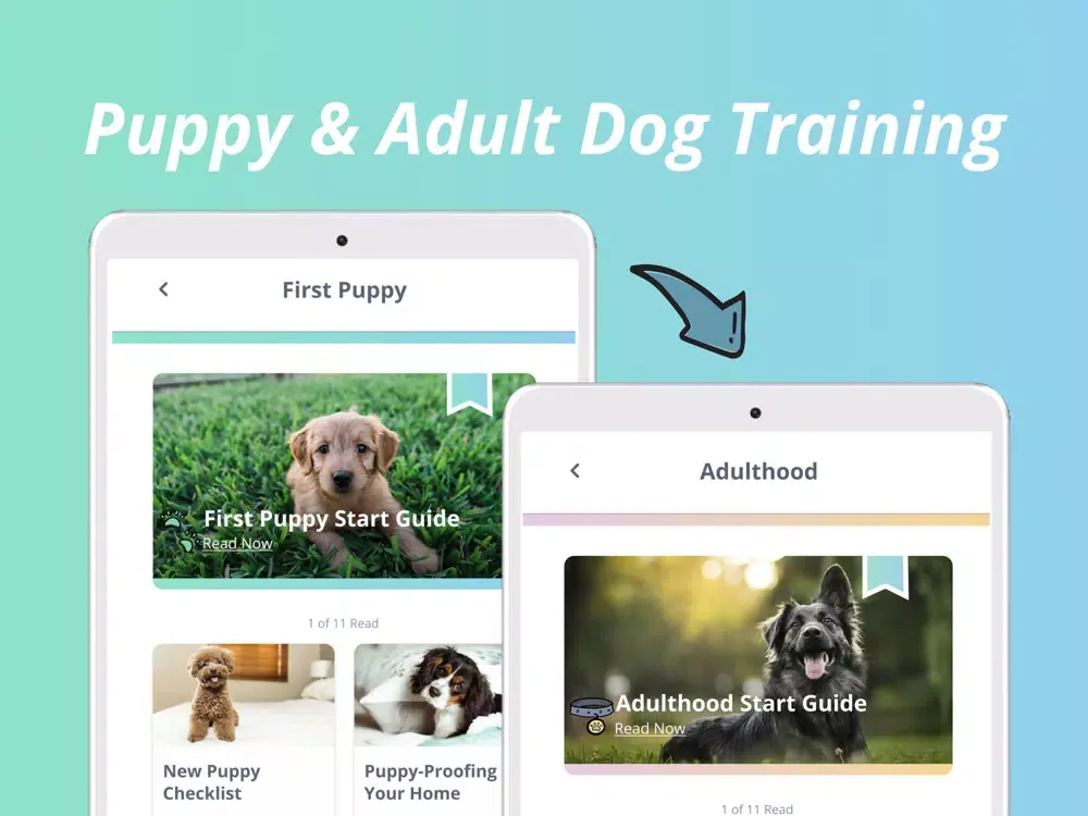 تصاویر My Pup - Puppy & Dog Training iPad 