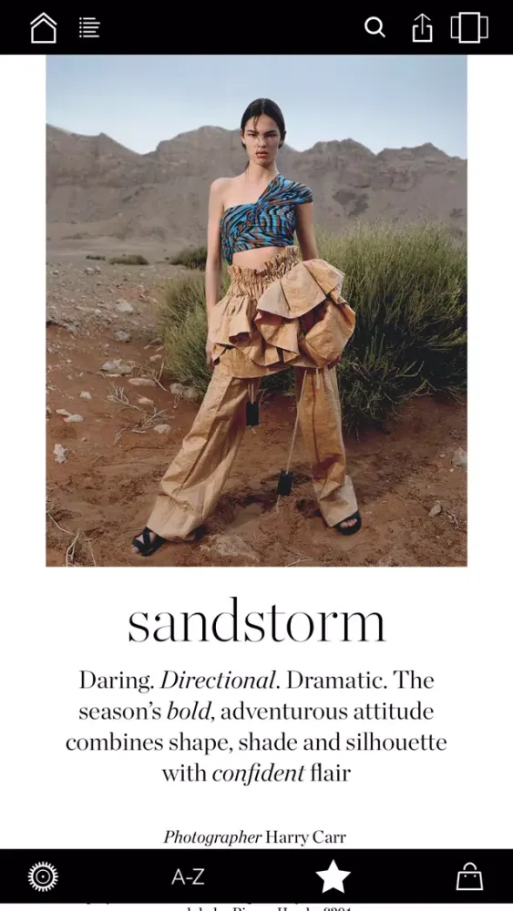 Capturas de tela do PORTER magazine North America