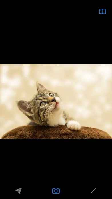 Relaxing Game 3in1 Screenshots