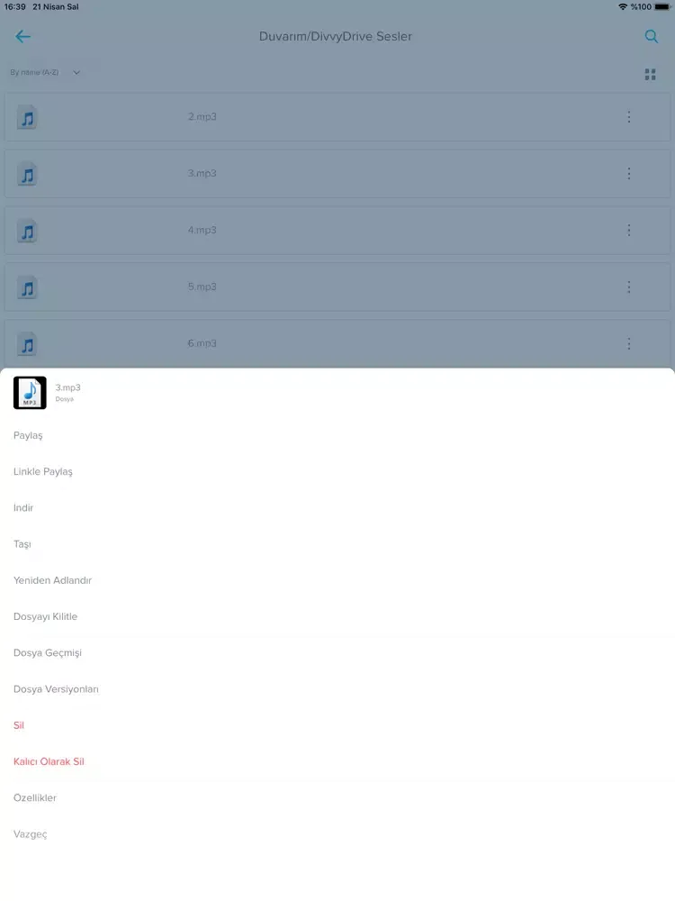 OGM Drive iPad 應用截圖