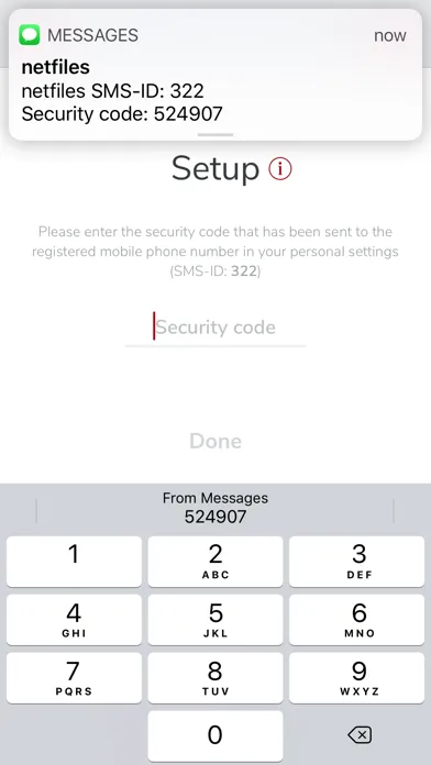 netfiles OTP – Authenticator 스크린샷