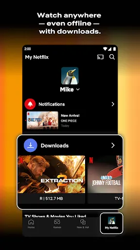 Netflix Screenshots