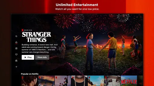 Netflix应用截图