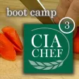 CIA Boot Camp 3 CIA Boot Camp 3