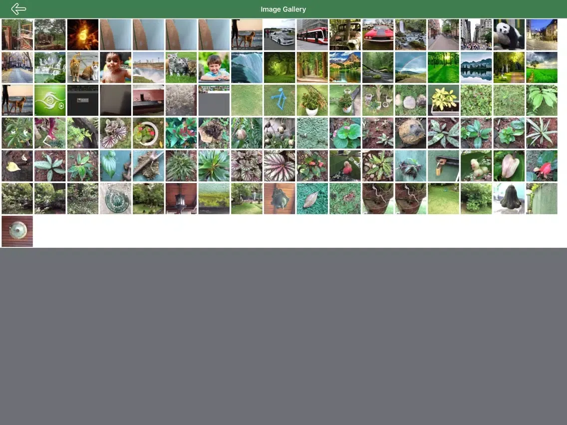 Neth3D Gallery iPad 应用截图