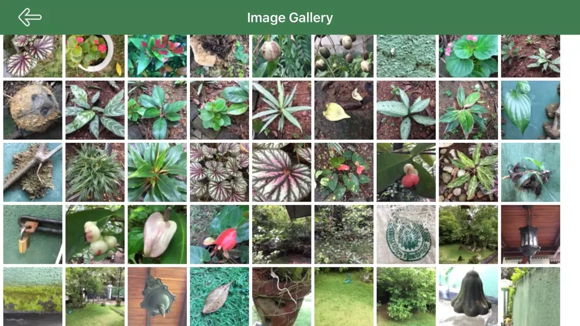 Neth3D Gallery应用截图