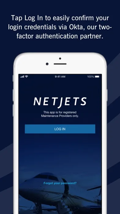 Tangkapan skrin NetJets RAMP