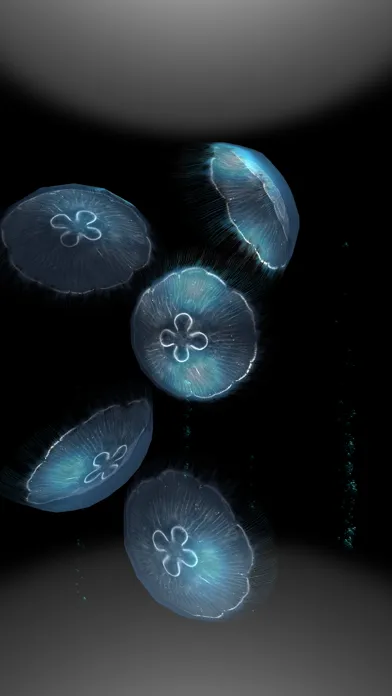 صور JellyfishGO -  Appreciation