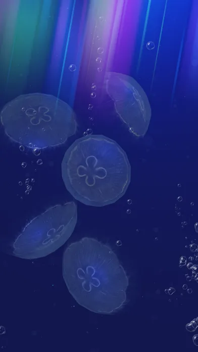 صور JellyfishGO -  Appreciation