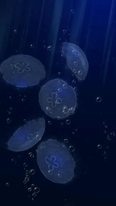 صور JellyfishGO -  Appreciation