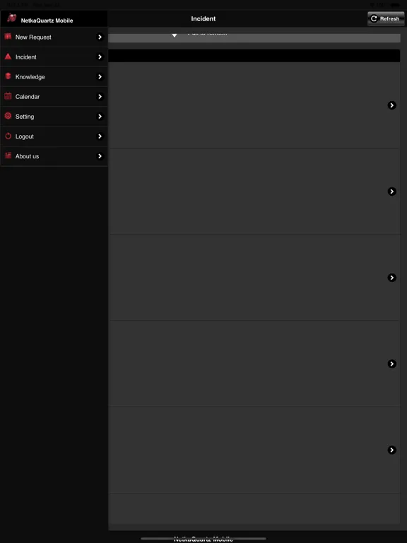 NetkaQuartz ServiceDesk Mobile iPad 应用截图