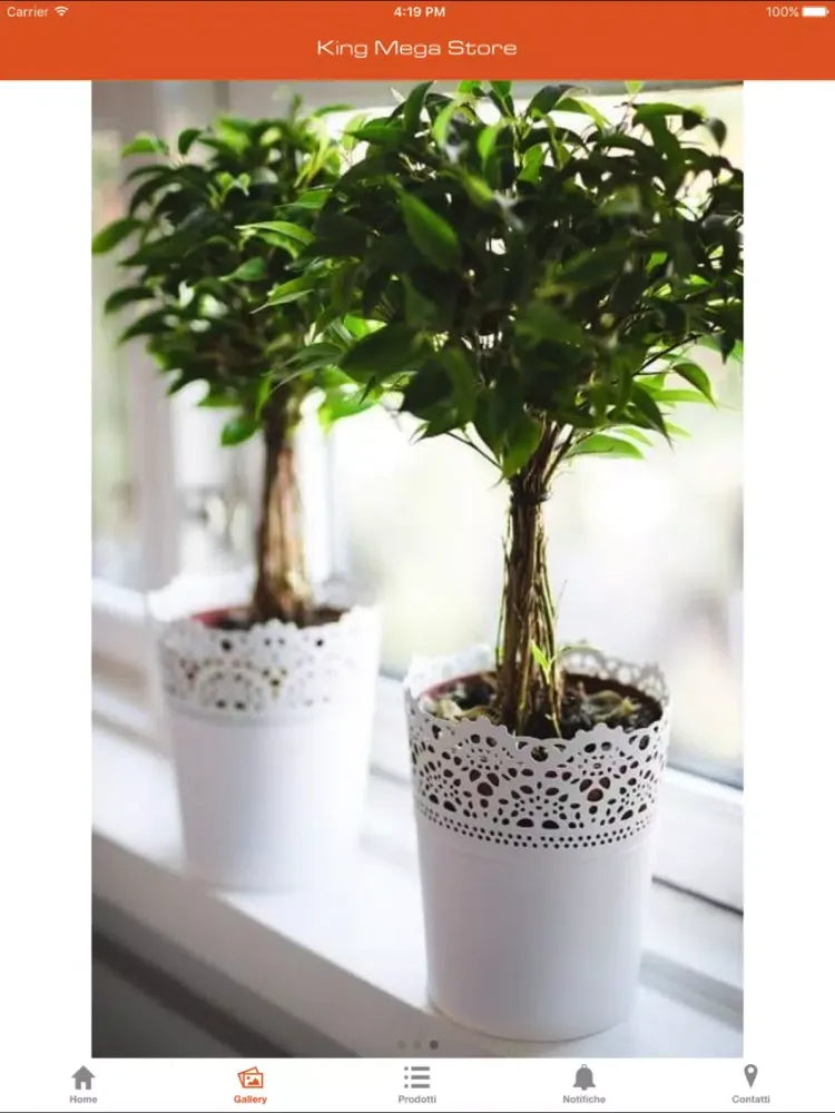 King Shopping iPad  Screenshots