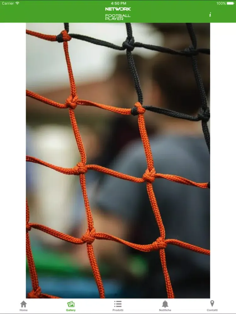 Captures d'écran de NFP iPad 