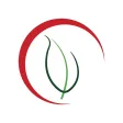 Pizzeria Tonino