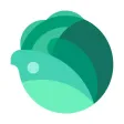 Cabbage - Reward System for Cultivating Work Ethic Cabbage - Reward System for Cultivating Work Ethic