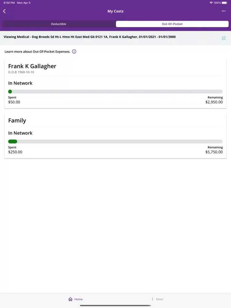 Tangkapan skrin Maddy Portal 2.0 iPad 