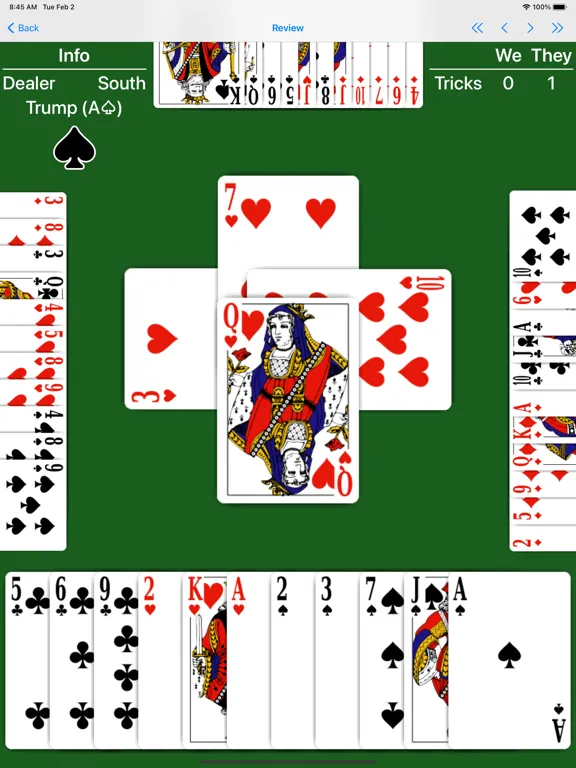 Zrzuty ekranu Whist - Expert AI iPad 