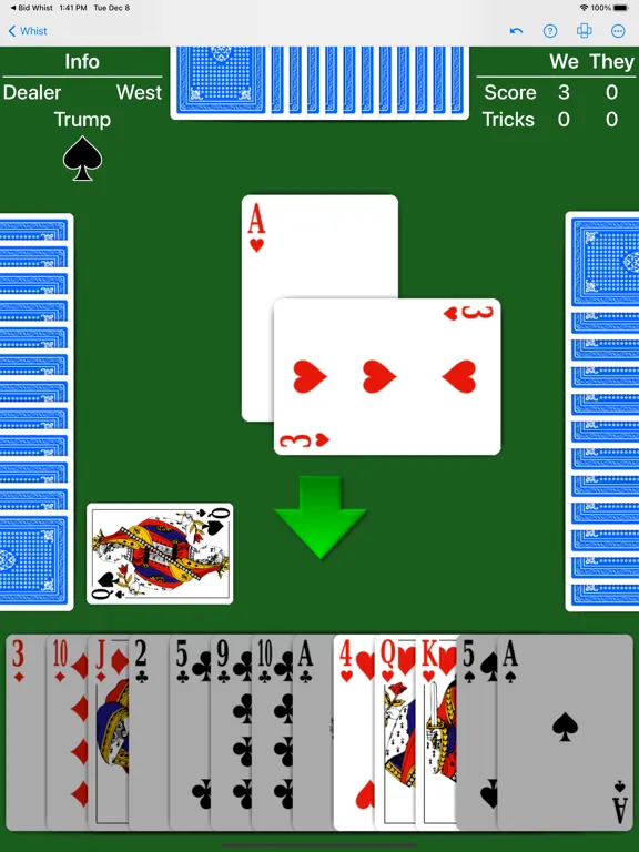 Zrzuty ekranu Whist - Expert AI iPad 