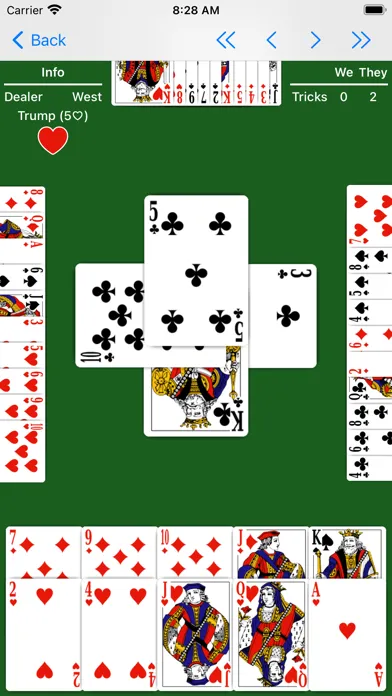 Zrzuty ekranu Whist - Expert AI