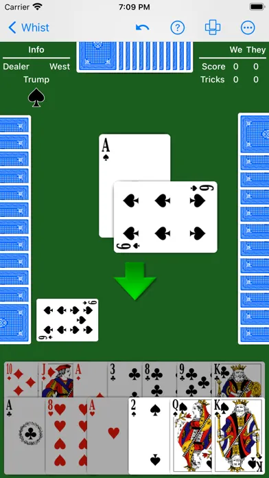 Zrzuty ekranu Whist - Expert AI