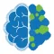 Cognitive Games