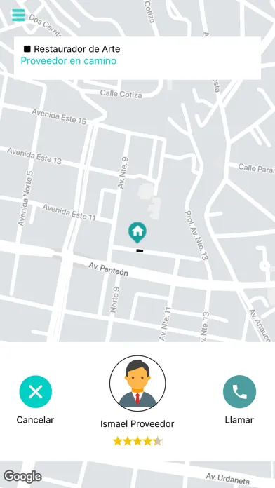 Zrzuty ekranu DiiExperto